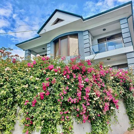 Guest House Botanical Paradise Мцване Концхи Екстериор снимка